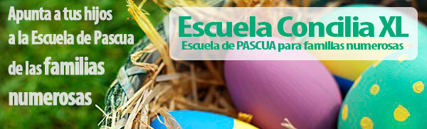 ESCUELA-CONCILIA-P-banner2