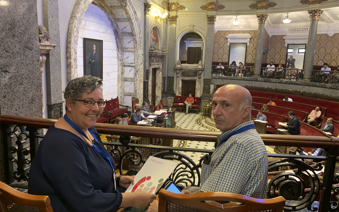 familias numerosas, bonificaciones, valencia, fanucova