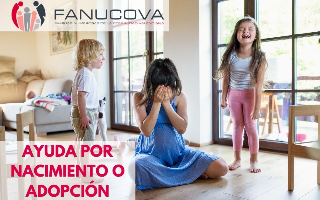 ayuda, nacimiento, adopción, familias numerosas,