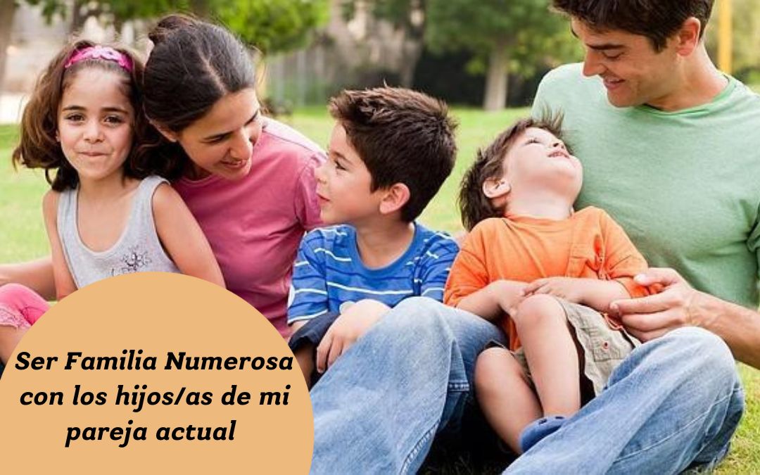 familia numerosa separación hijos
