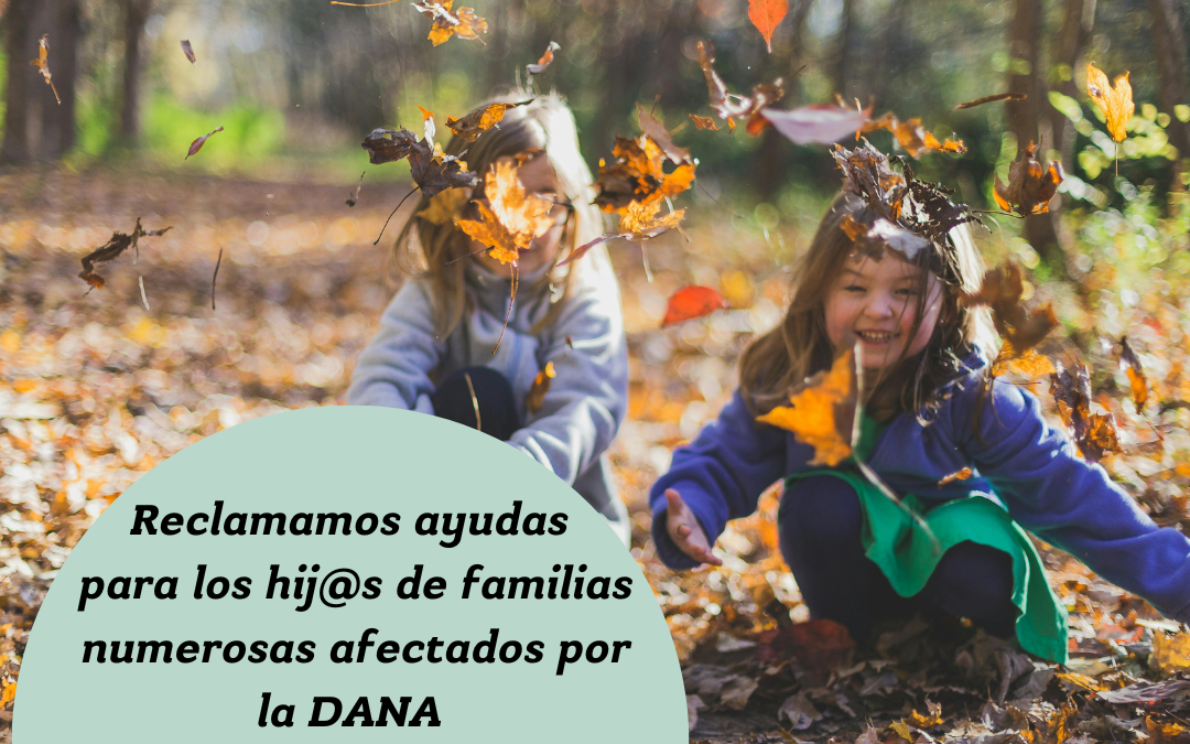 Ayudas familias numerosas DANA